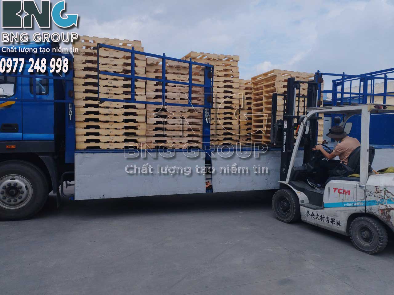 Sản Xuất Pallet Gỗ Bạch Đàn Giá Rẻ - Xuất Khẩu