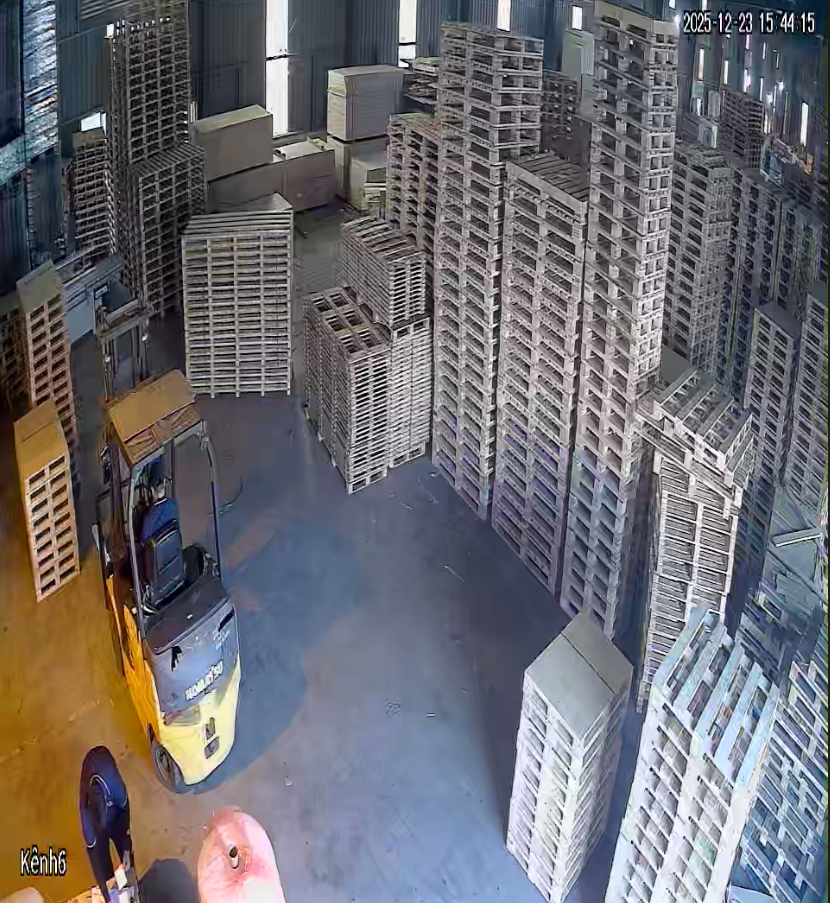 Pallet gỗ giá rẻ, chất lượng cao – Sản xuất trực tiếp | BNG GROUP