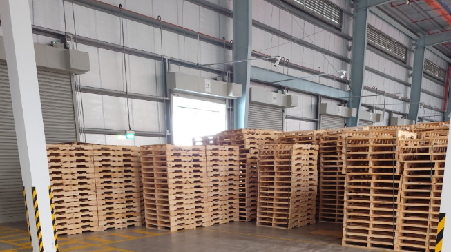 Đơn vị cung cấp pallet gỗ ván ép uy tín Thái Bình 0977248998