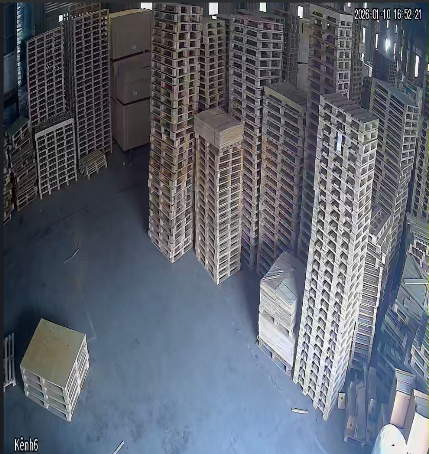 Xưởng sản xuất pallet tại Tân Trường, Hải Dương