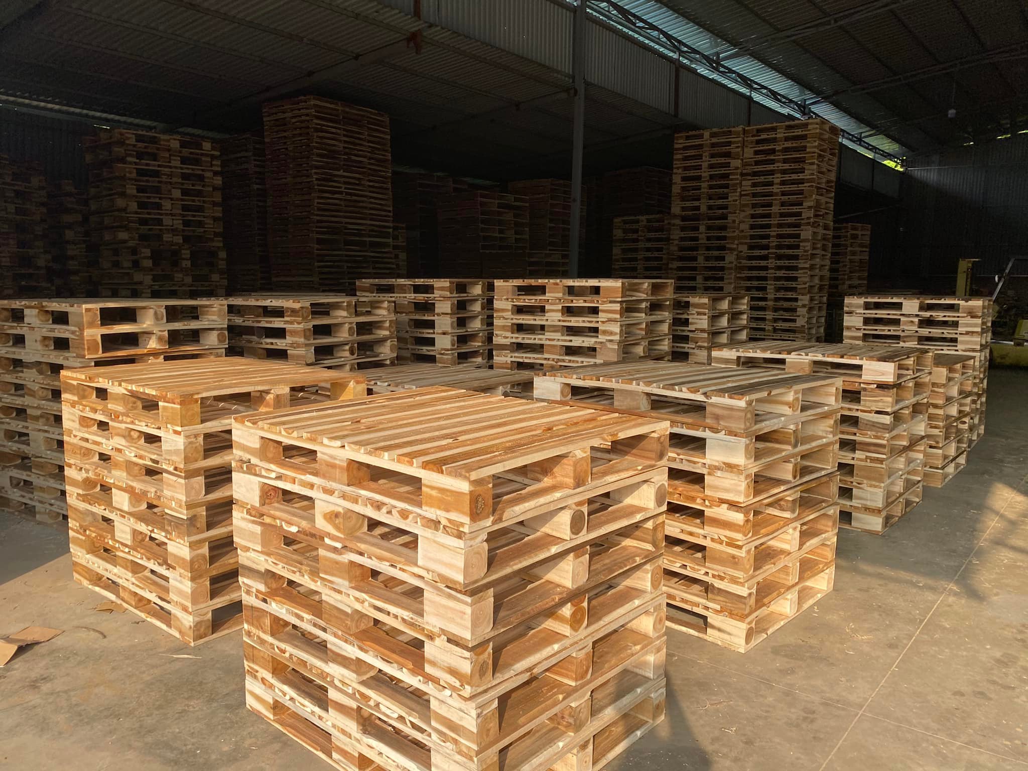 Các yêu cầu quốc tế về pallet và xu hướng tuân thủ