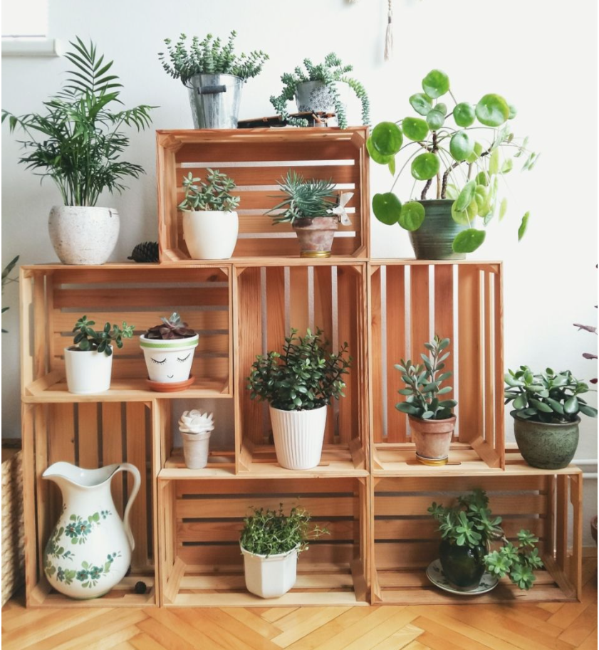 Pallet Gỗ Decor