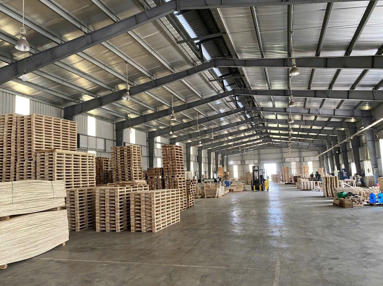 Giá Pallet ván ép – Pallet gỗ ép 2025