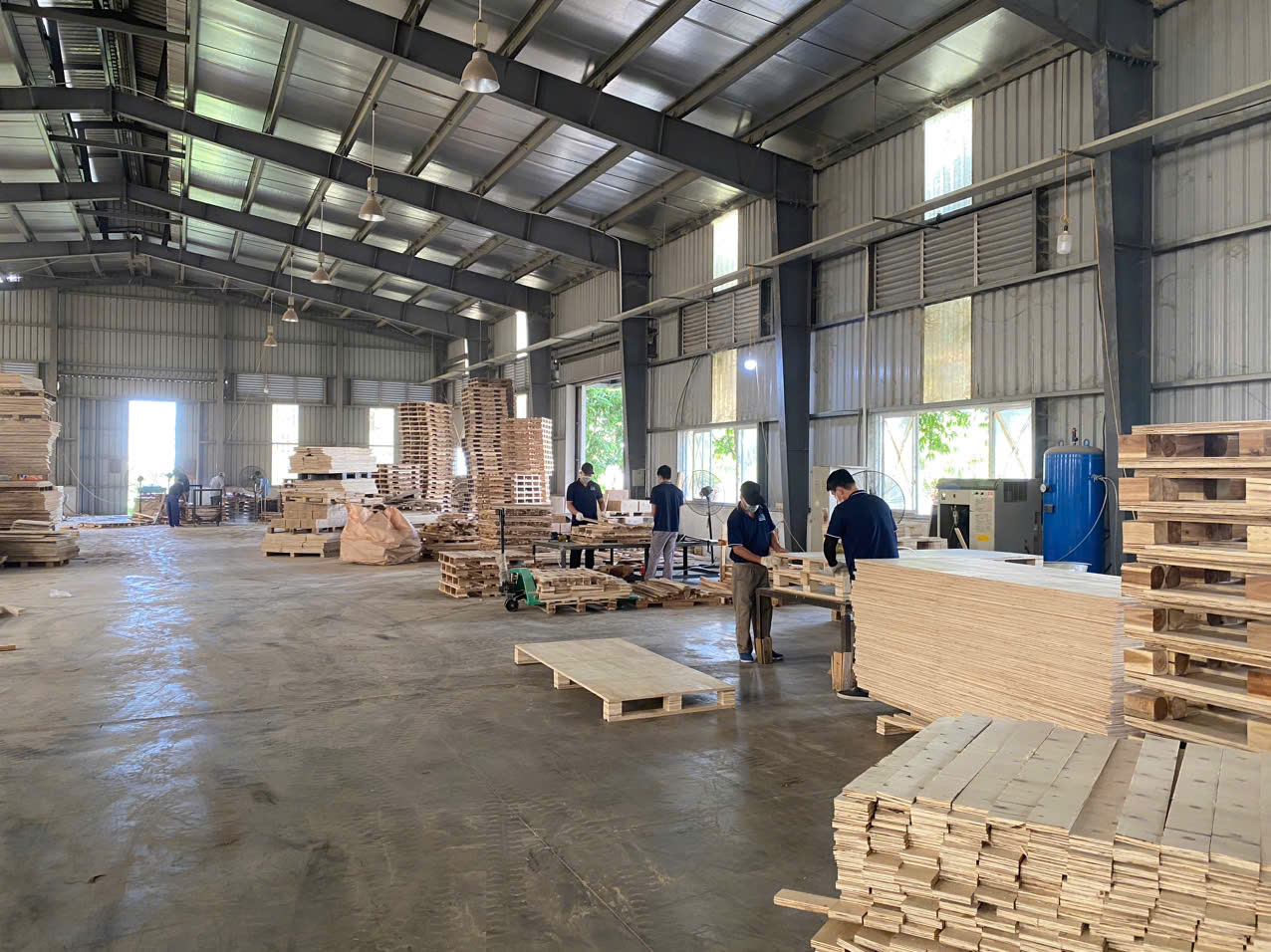 Giải đáp thắc mắc - Pallet ván ép có cần hun trùng không
