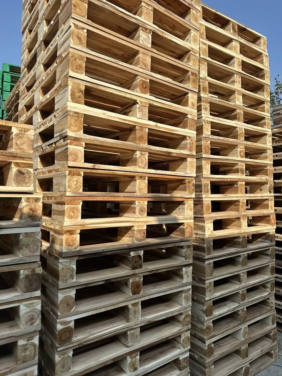 Pallet Gỗ 4 Hướng Nâng – Giải Pháp Pallet Linh Hoạt Cho Kho Hàng Và Xuất Khẩu