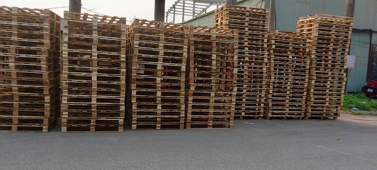 pallet gỗ keo ở tại hải dương