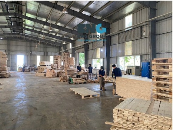 Pallet Mỹ Hào Hưng Yên – Xưởng sản xuất trực tiếp, giá tận gốc | BNG GROUP