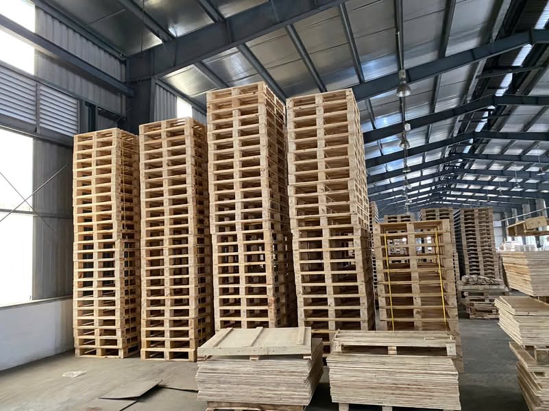 Pallet gỗ miền Bắc – Đóng mới, pallet cũ, pallet xuất khẩu