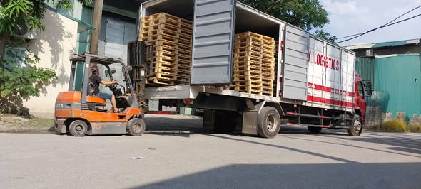 SẢN XUẤT PALLET GỖ – THÔNG TIN CHI TIẾT PALLET GỖ BNG GROUP