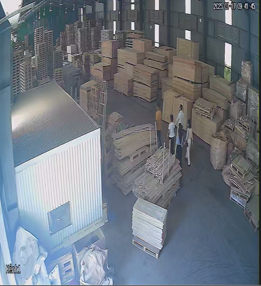 Xưởng sản xuất pallet gỗ tại Đại An, Hải Dương