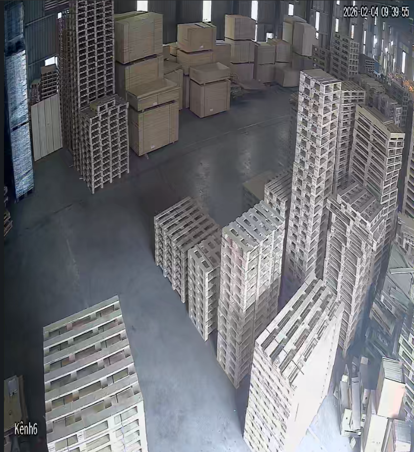 Pallet Xử Lý Nhiệt Hải Phòng – Đạt Chuẩn Xuất Khẩu ISPM 15 | BNG GROUP