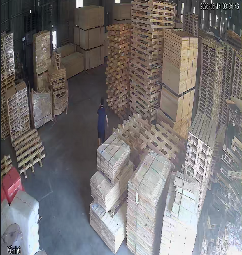 Pallet Gỗ Xuất Khẩu – BNG Group | Sản Xuất Theo Tiêu Chuẩn ISPM 15