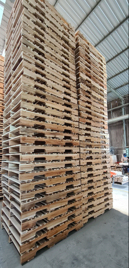 pallet gỗ ở tại hải dương