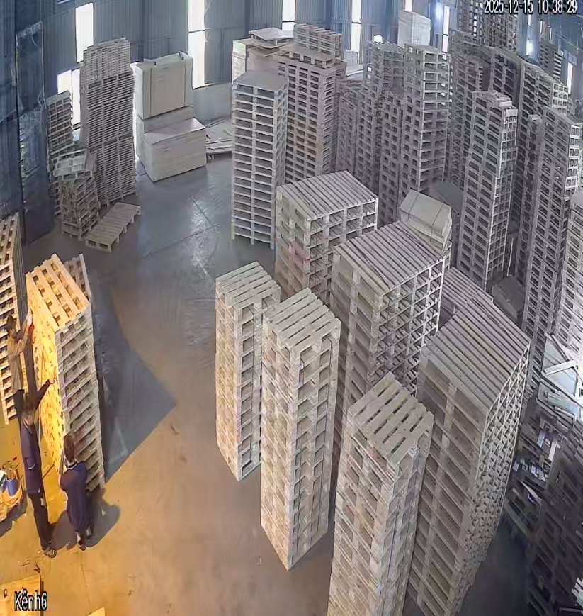 Top 9 Nhà Cung Cấp Pallet Uy Tín Tại Hải Dương