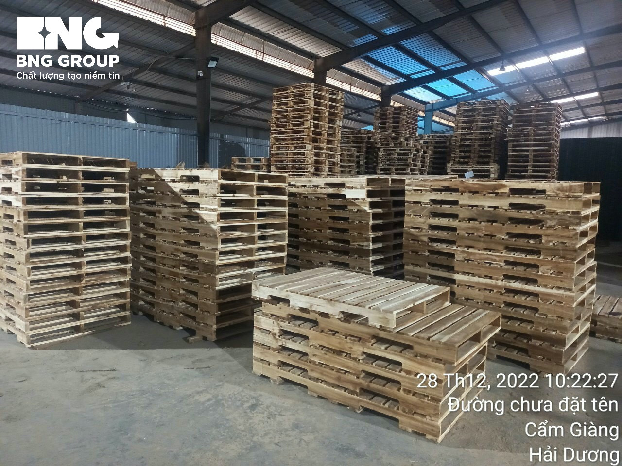 Pallet gỗ BNG - Hải Dương