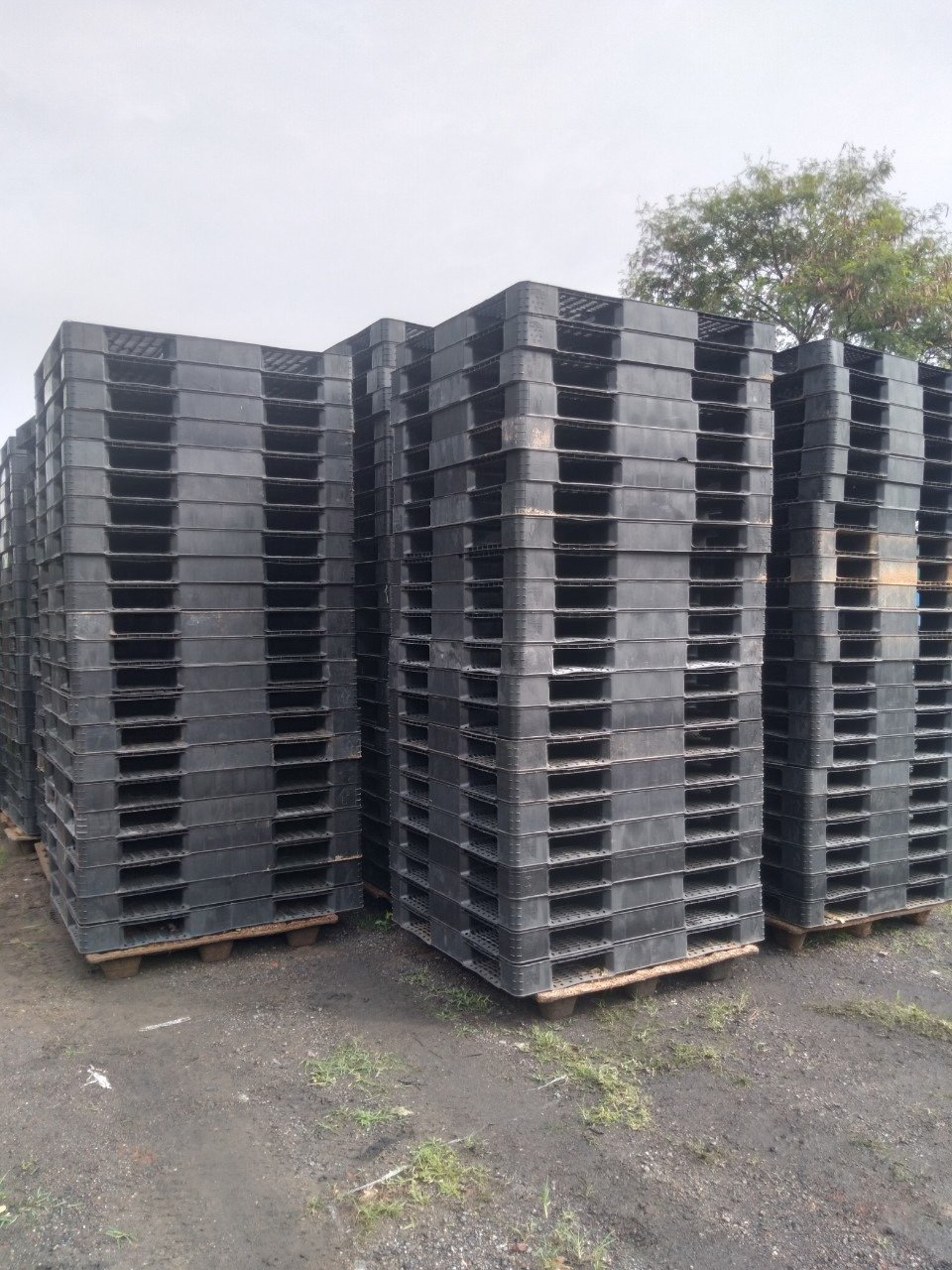 PALLET NHỰA TÁI SỬ DỤNG: LỰA CHỌN THÔNG MINH ĐỂ GIẢM CHI PHÍ TRONG CHUỖI CUNG ỨNG