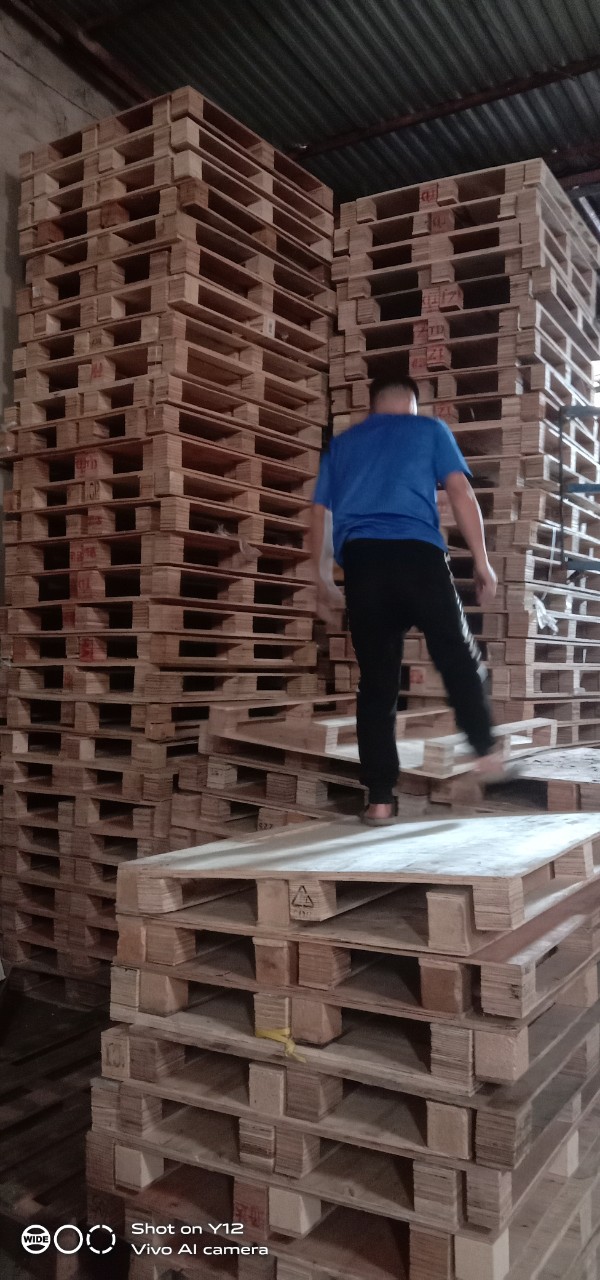 Thị trường pallet gỗ đã qua sử dụng sôi động vì giá gỗ và xu hướng kinh tế tuần hoàn