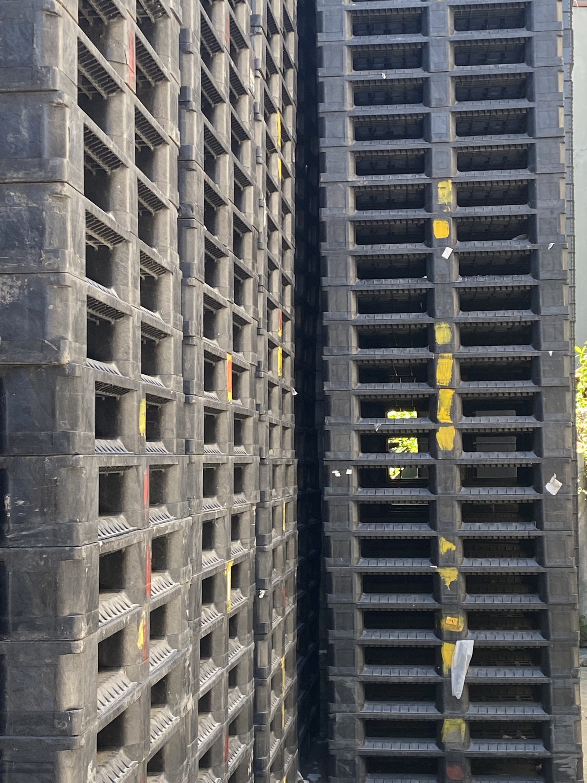 Sử dụng pallet nhựa thanh lý liệu có đảm bảo?