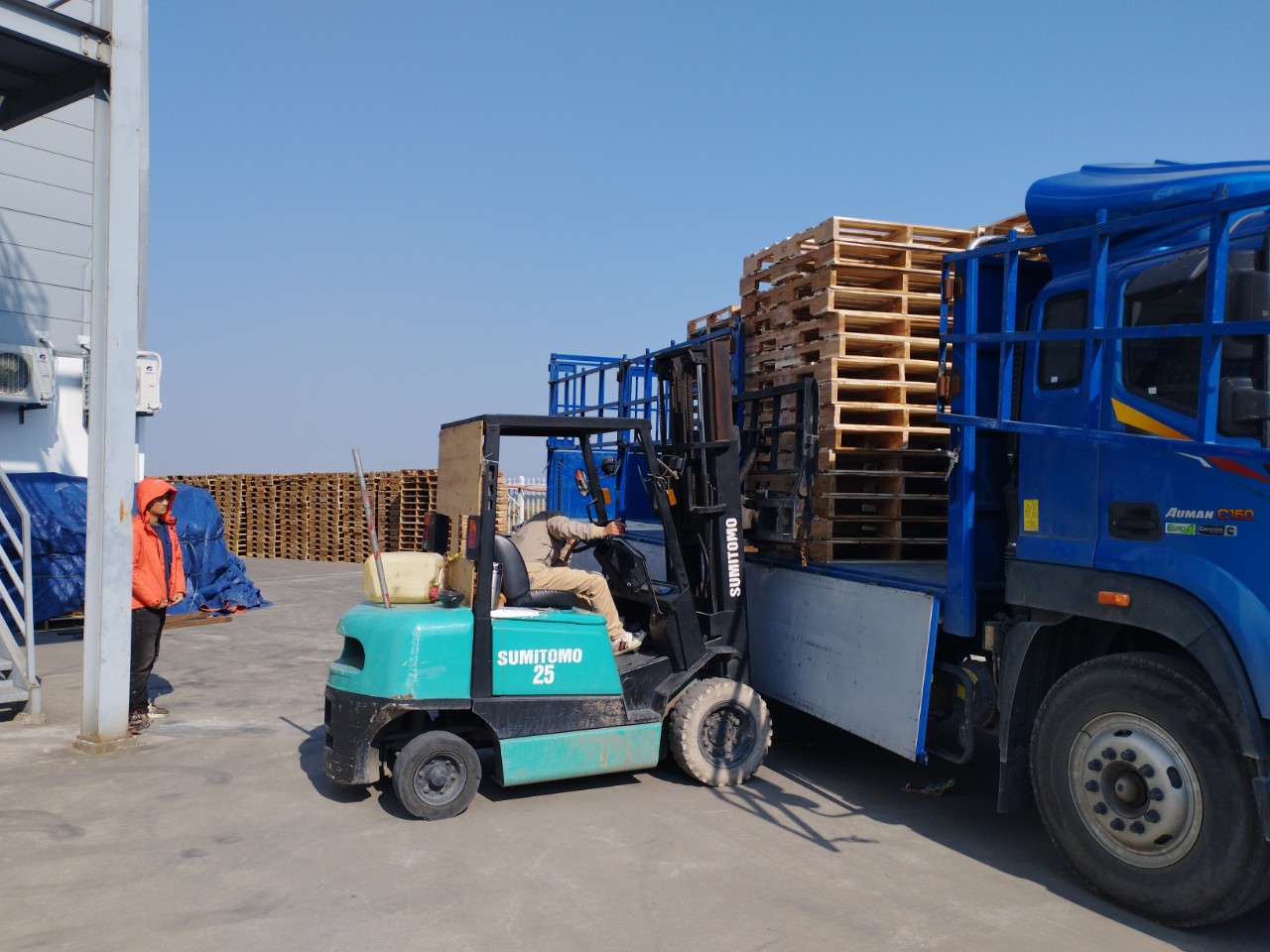 Công ty pallet gỗ - báo giá nhanh 0977248998