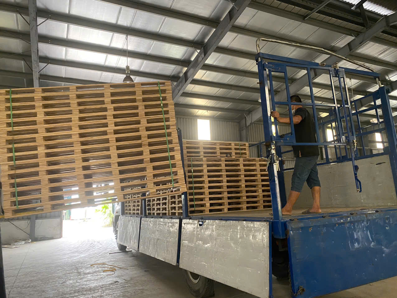 Ván ép Pallet uy tín chất lượng