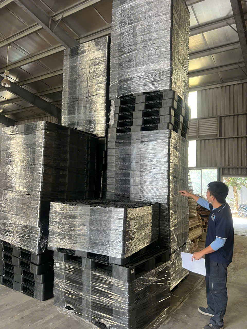 Pallet nhựa cũ