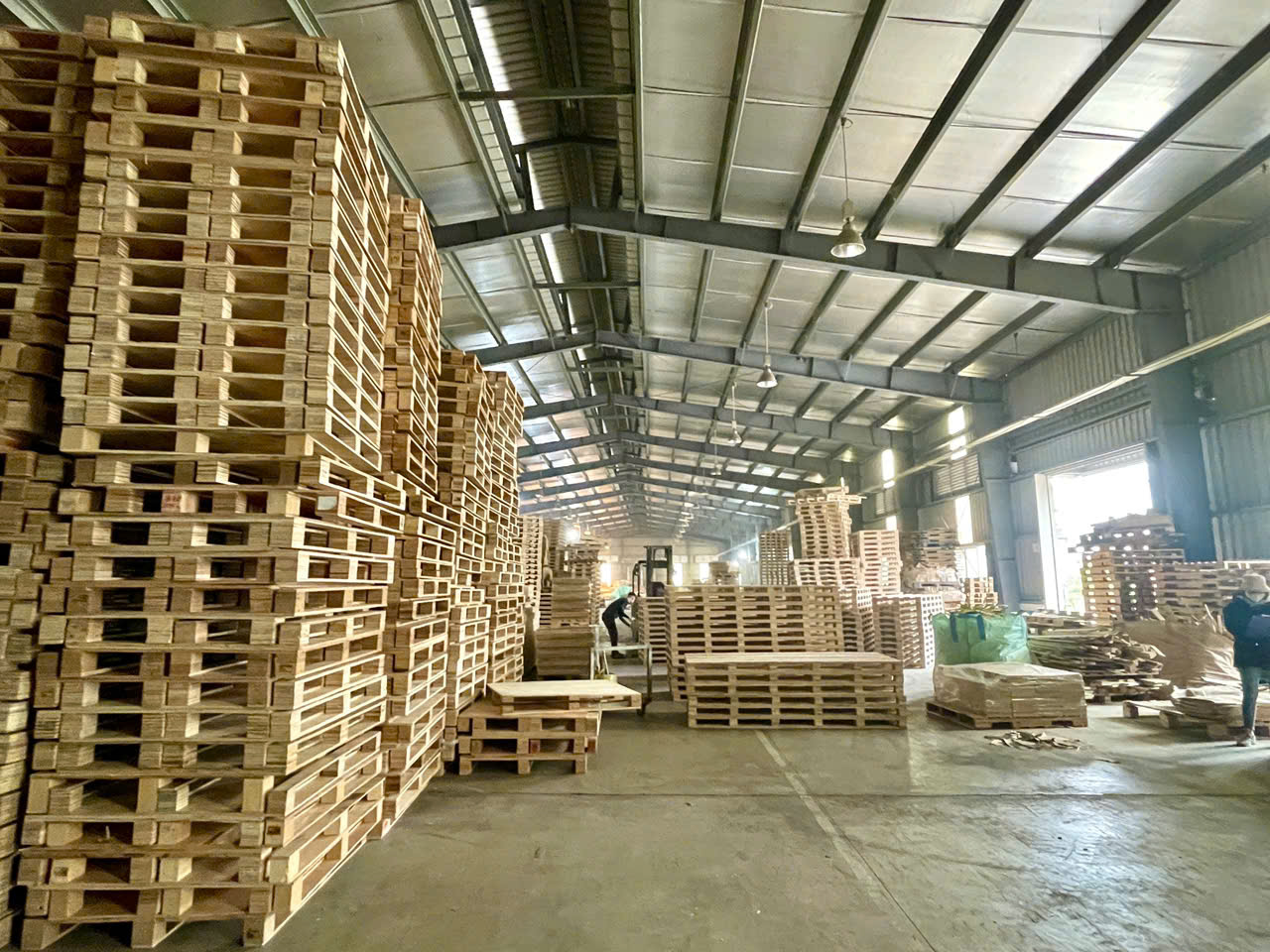 PALLET GỖ BNG