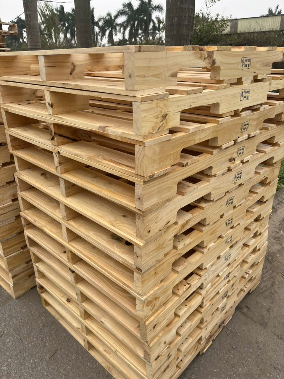 Pallet Gỗ 1 Mặt - Pallet gỗ BNG 0977248998