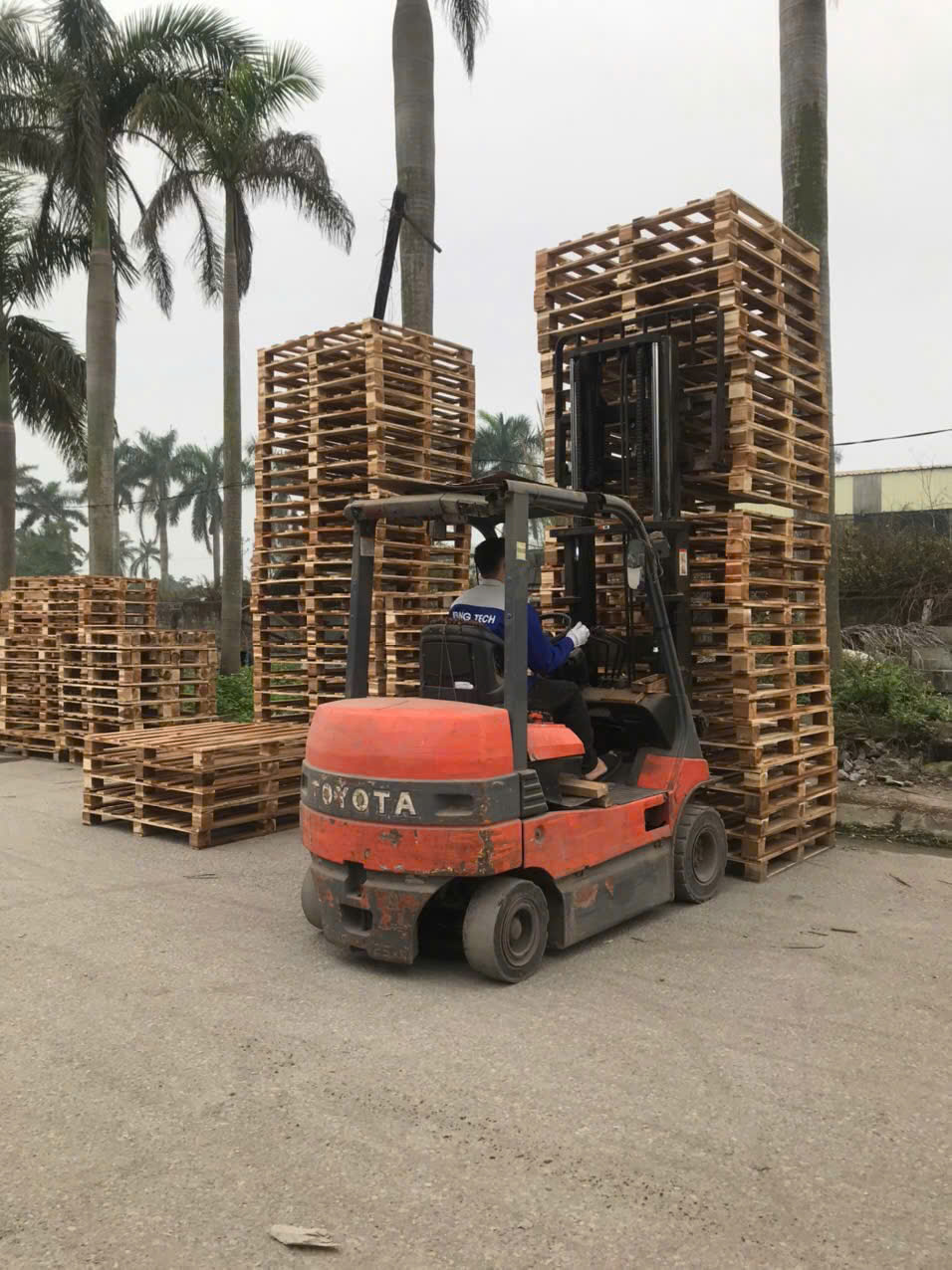 Pallet gỗ Bắc Ninh chất lượng, giá rẻ
