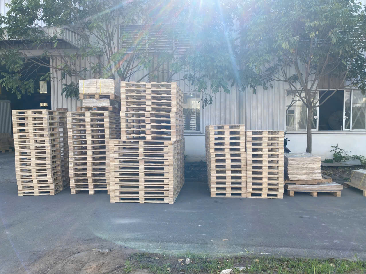 Giá pallet ván ép