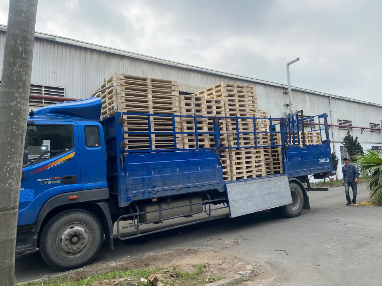 Pallet Gỗ Giá Rẻ I Đóng Theo Yêu Cầu I Pallet BNG