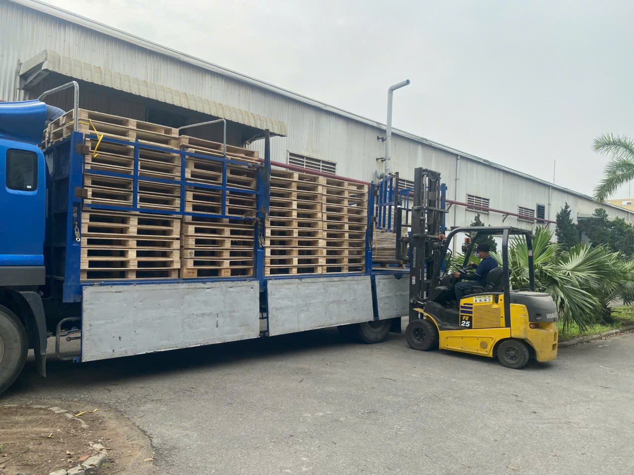 Địa Chỉ Bán Pallet Gỗ Hải Phòng Sản Xuất Theo Yêu Cầu