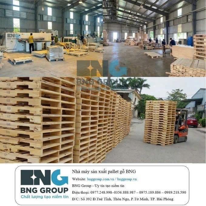 Công ty bán Pallet gỗ cũ Hải Phòng, pallet gỗ mới Hải Phòng - Pallet gỗ BNG