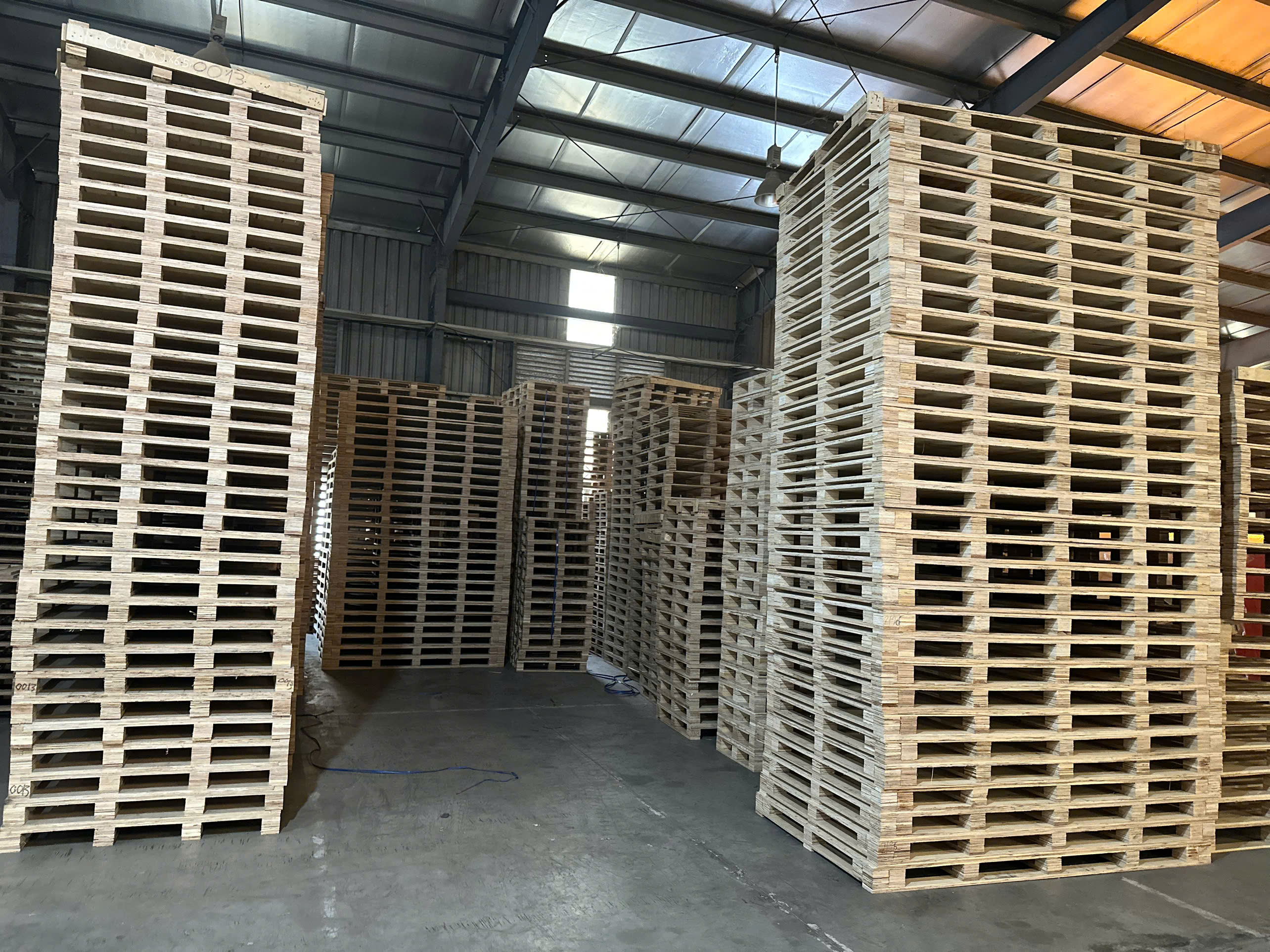 Xưởng sản xuất pallet ván ép