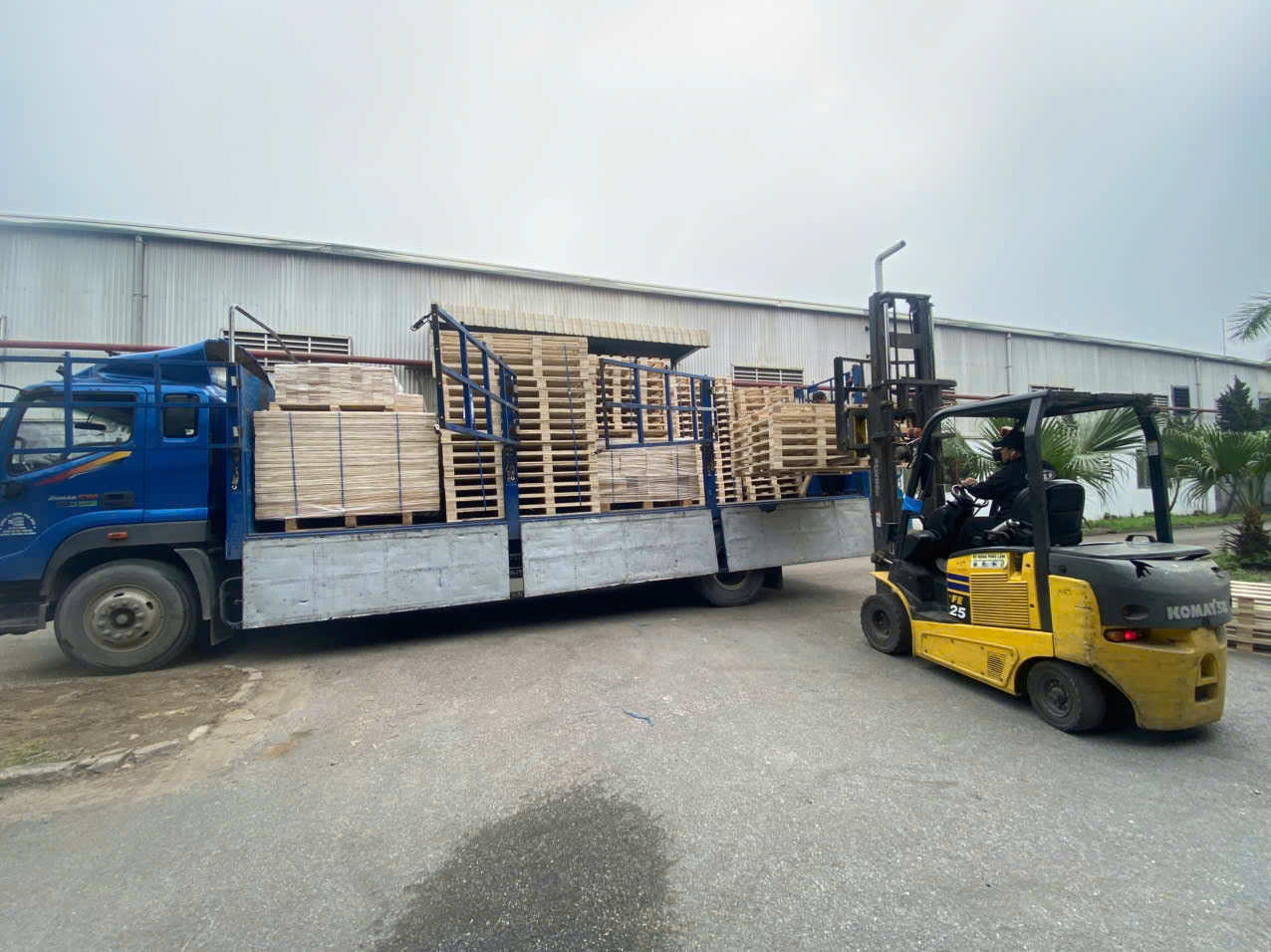 Đóng Hàng Pallet Giá Tốt | Xưởng Gỗ Đóng Hàng Giá Rẻ – BNG GROUP
