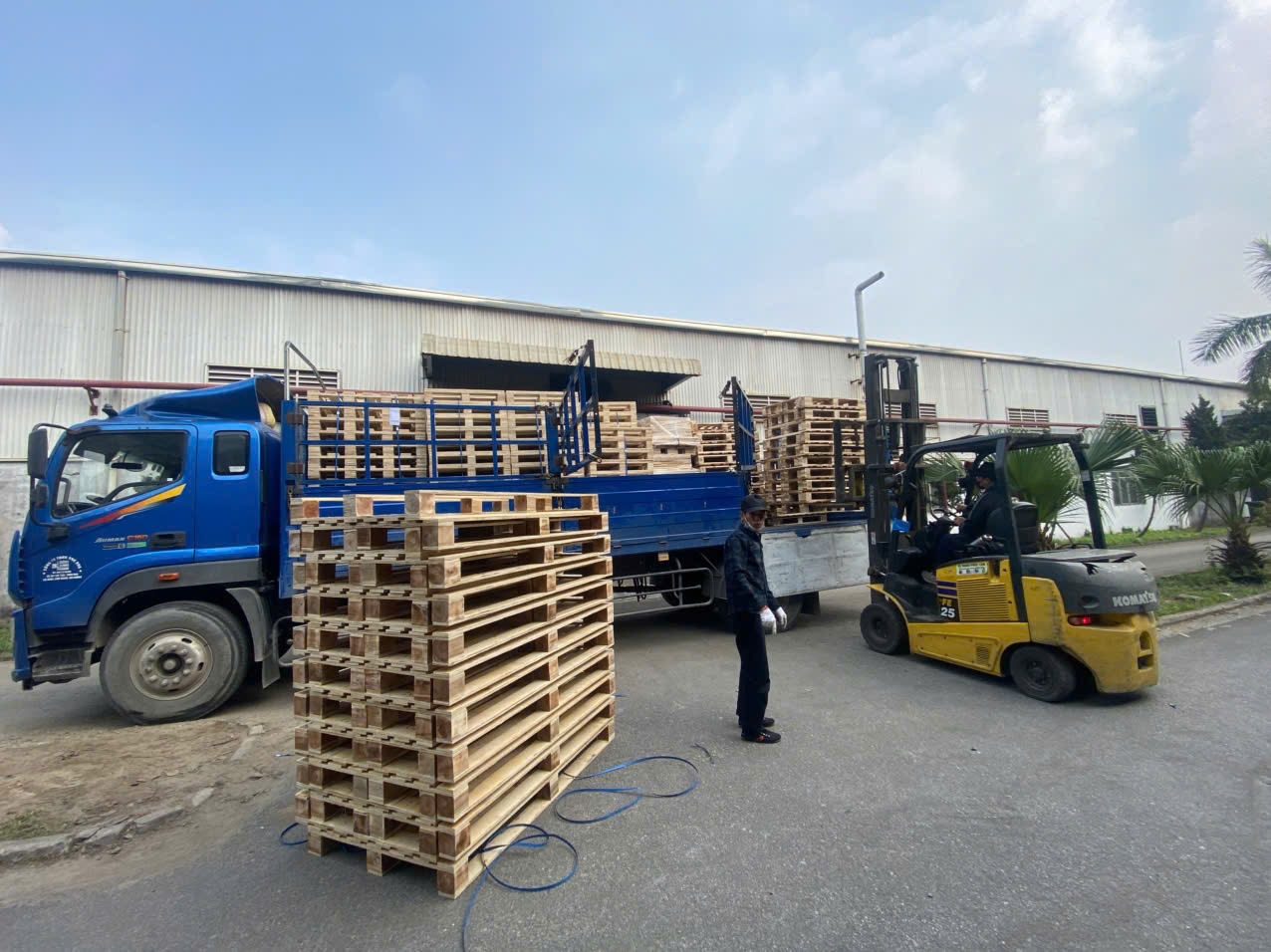 Pallet Hải Dương giá rẻ, giao nhanh | BNG GROUP