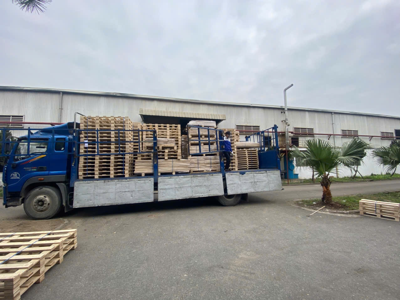Pallet KCN Thăng Long giá rẻ, giao nhanh | BNG GROUP