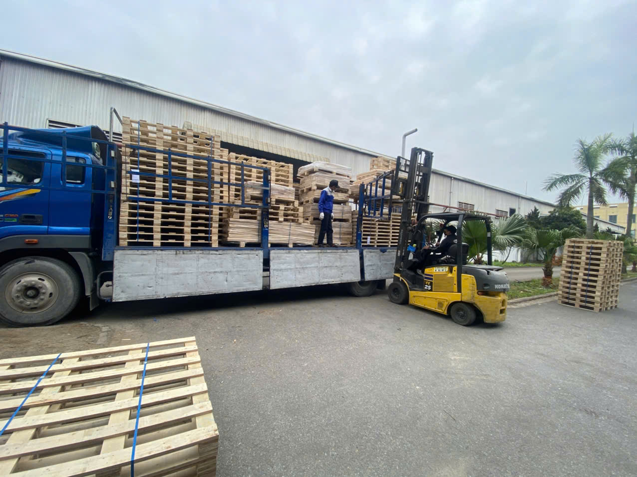 SẢN XUẤT PALLET GỖ, KIỆN GỖ – BNG GROUP