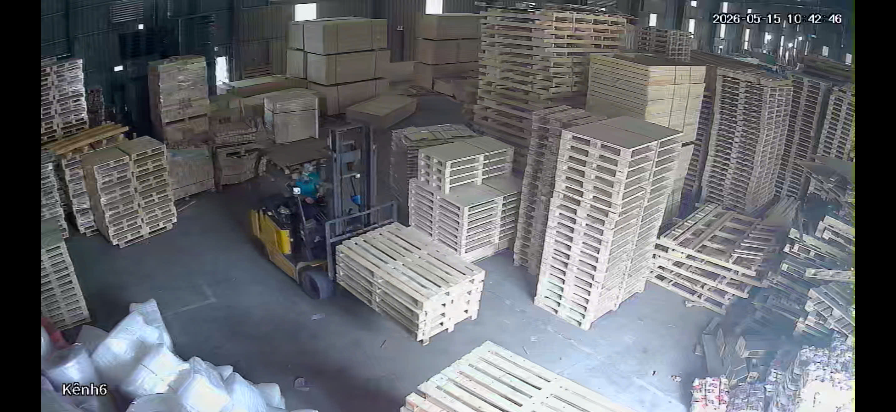 BNG GROUP – Xưởng Sản Xuất Pallet Gỗ Uy Tín Cho Doanh Nghiệp Bắc Ninh