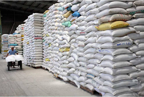 Sự phát triển và 5 ứng dụng của pallet gỗ kê hàng bao gạo